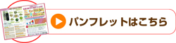 パンフレットはこちら